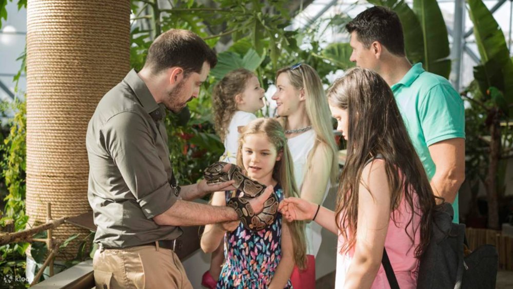 Witness nature’s many wonders with the whole family at The Green Planet! Credits: Klook