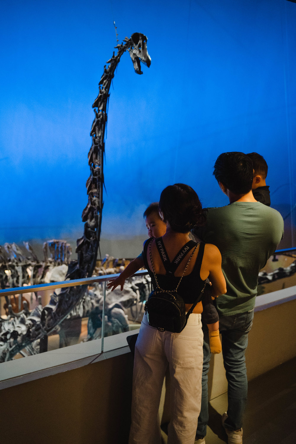 family looking at dinosaur bones
