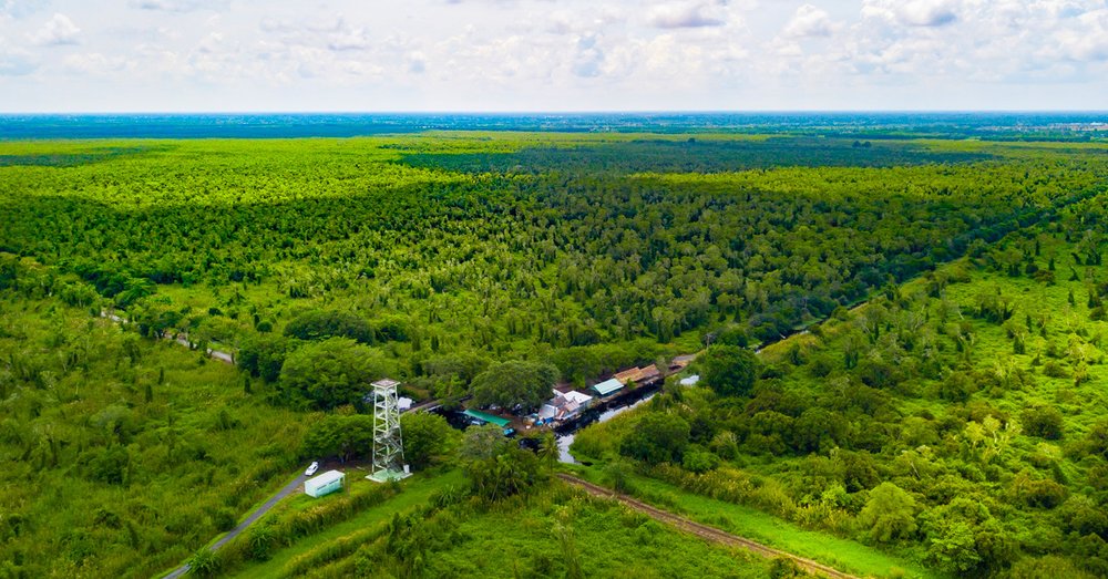 Vườn Quốc Gia Mũi Cà Mau Đẹp Mê Hồn