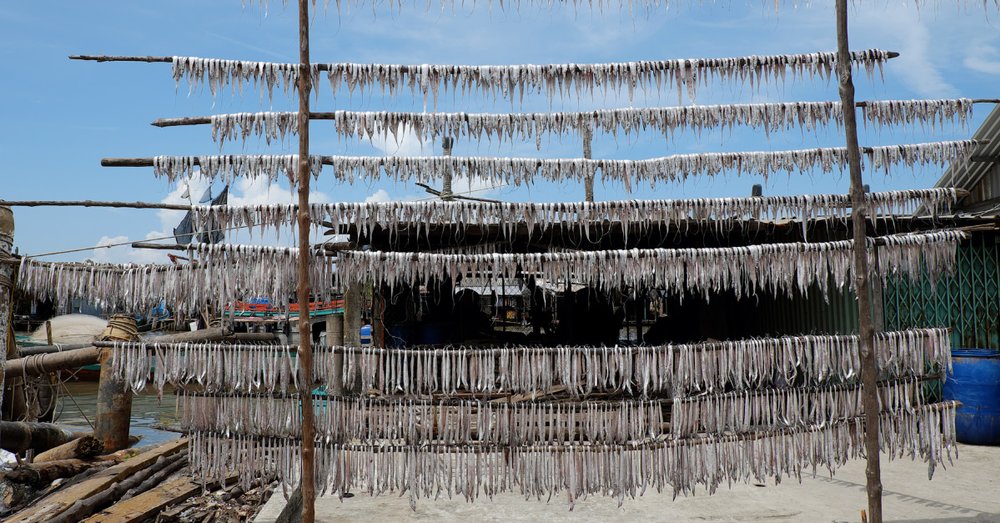 Du Lịch Cà Mau Nên Mua Gì Về Làm Quà? 