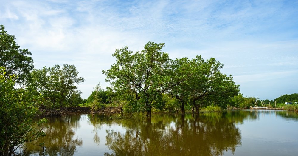 Du Lịch Cà Mau Tự Túc Mùa Nào Đẹp Nhất? 