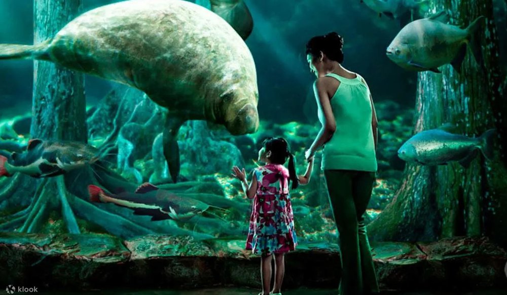 river-wonders-singapore