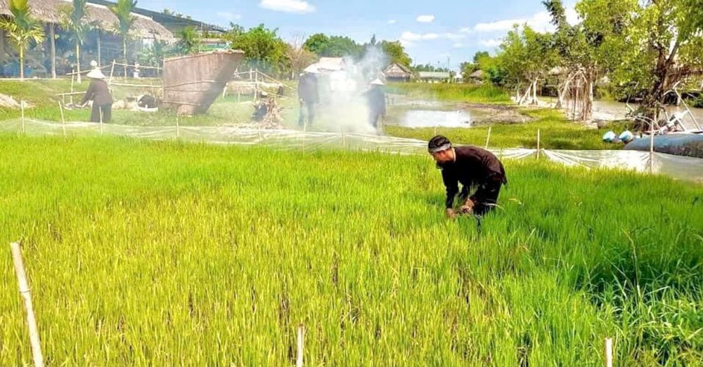 khu-du-lich-phuong-nam-dong-thap