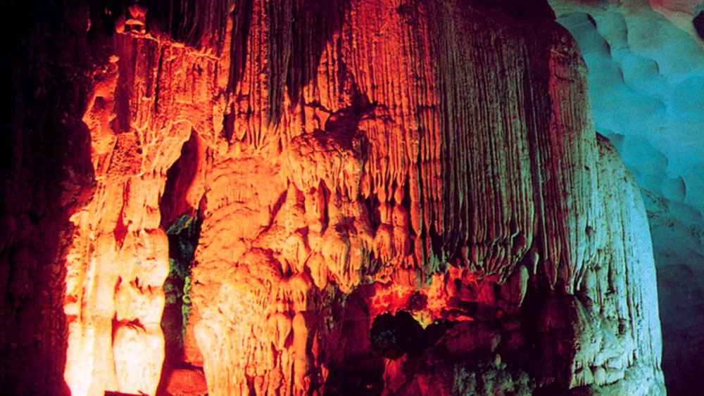 Tham Quan Hang Đầu Gỗ Và Hang Sửng Sốt