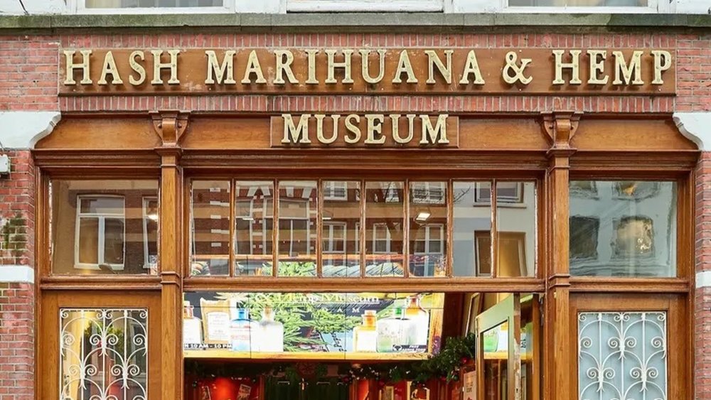 Take a trip to the Hash Marihuana & Hemp Museum!