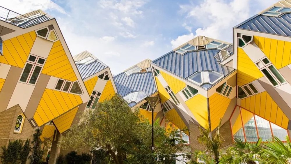 It’s a packed tour that’s worth every dollar!