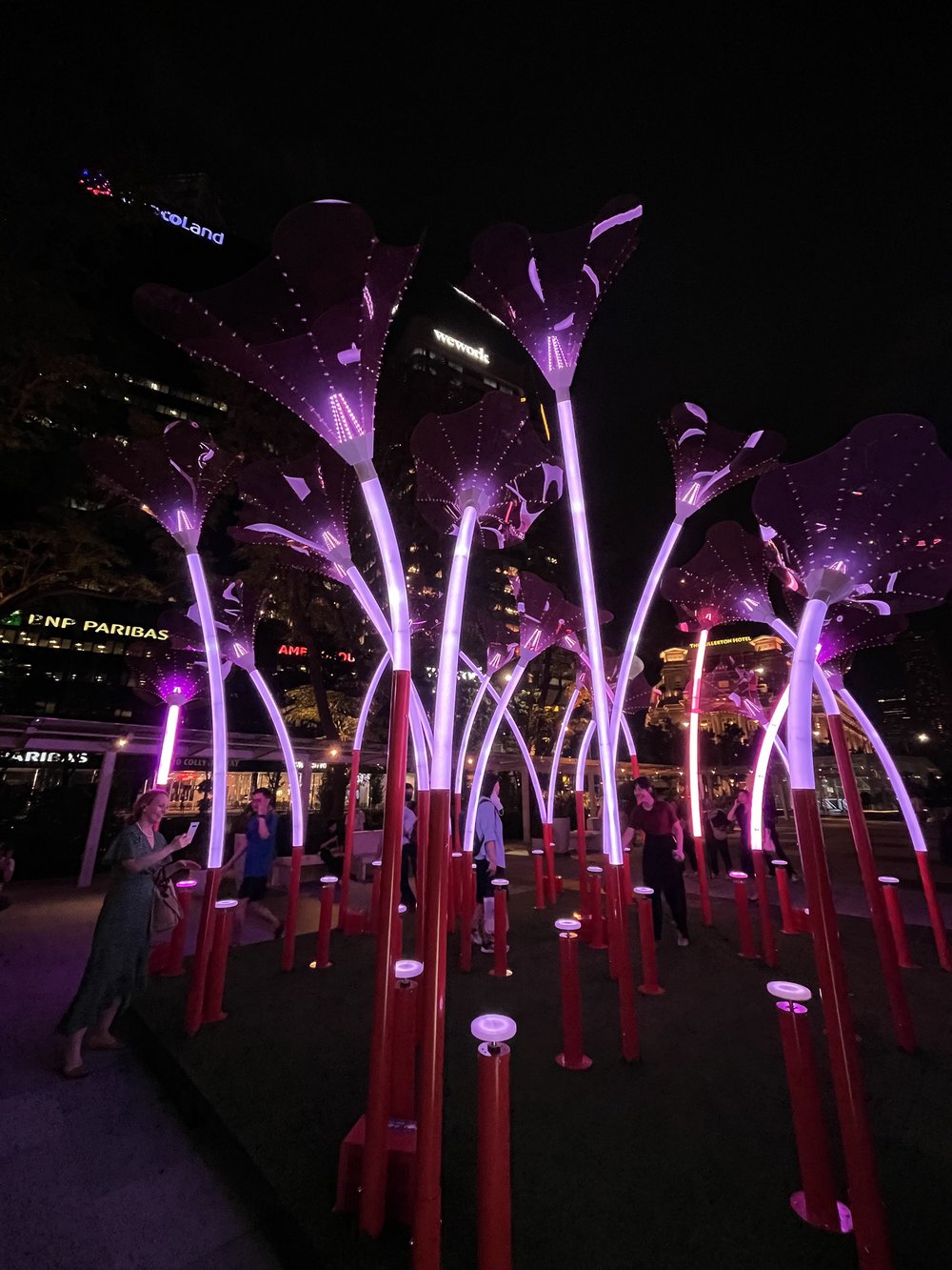 trumpet flowers i light