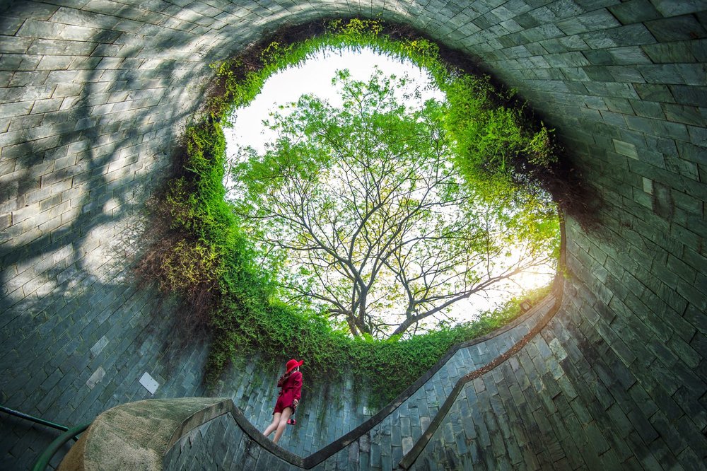 A woman pose in tree tunnel in Fort Canning Park