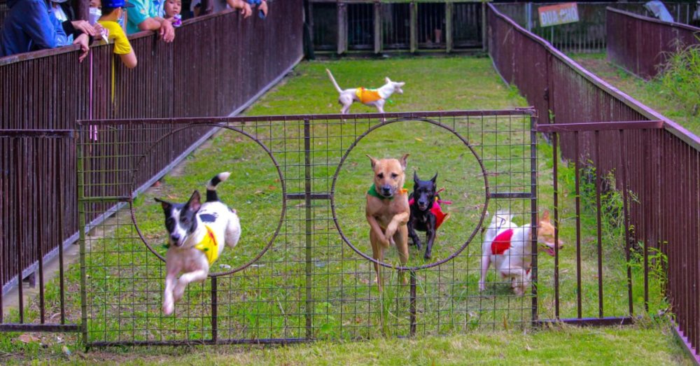 khu-du-lich-my-khanh