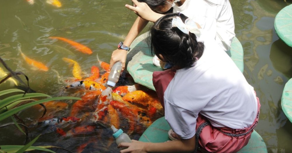 khu-du-lich-sinh-thai-my-khanh