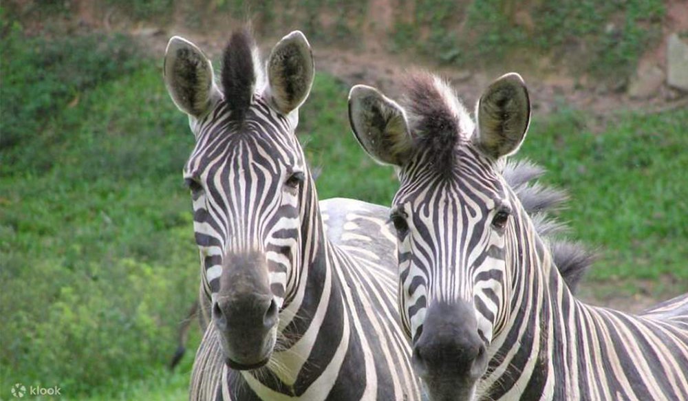 du-lich-malaysia-4-ngay-3-dem