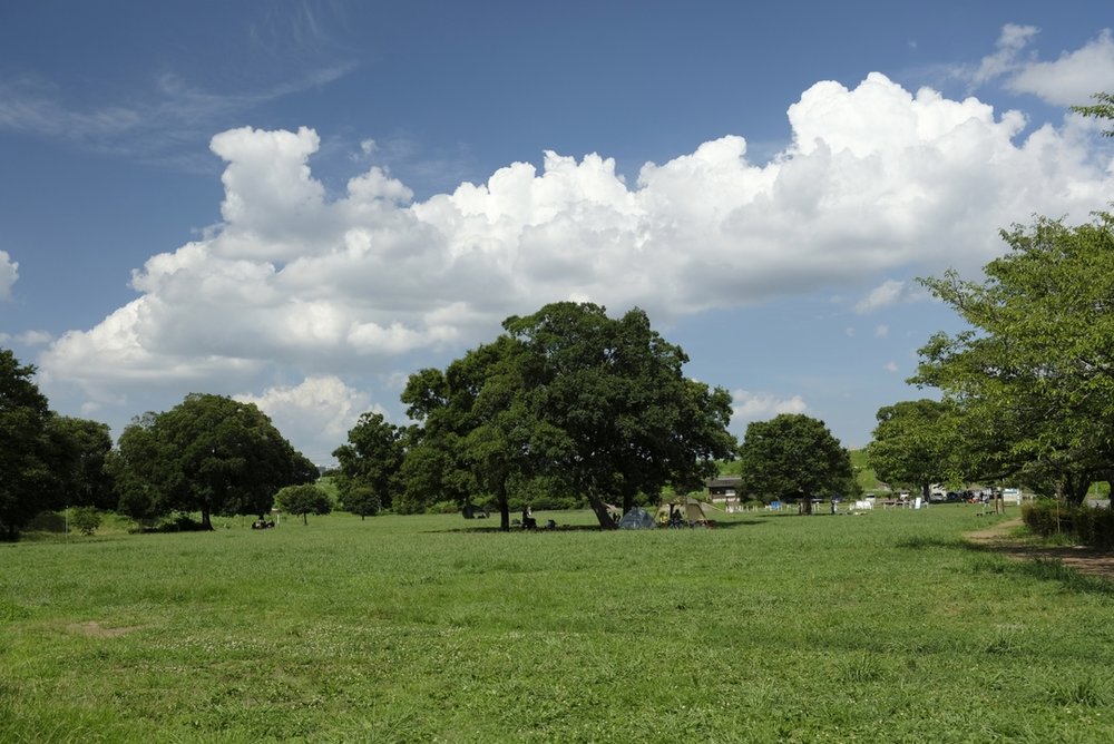 彩湖・道満グリーンパーク