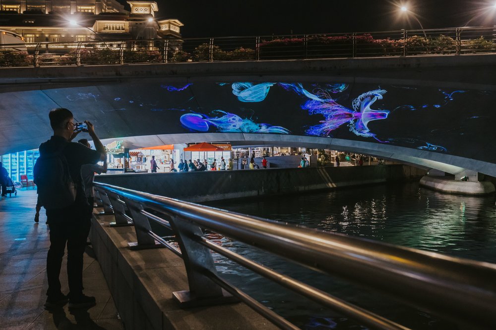 i light singapore aquatics