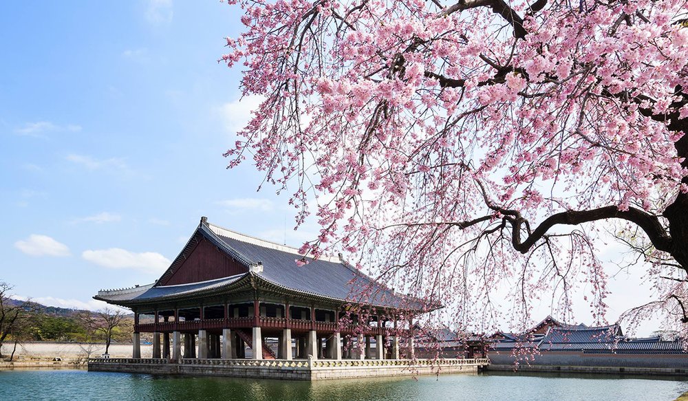 cung-dien-gyeongbokgung