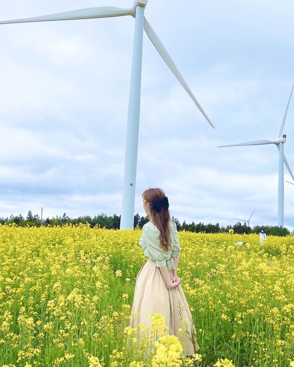 Gasiri Wind Power Plant Instagrammable spot in Jeju