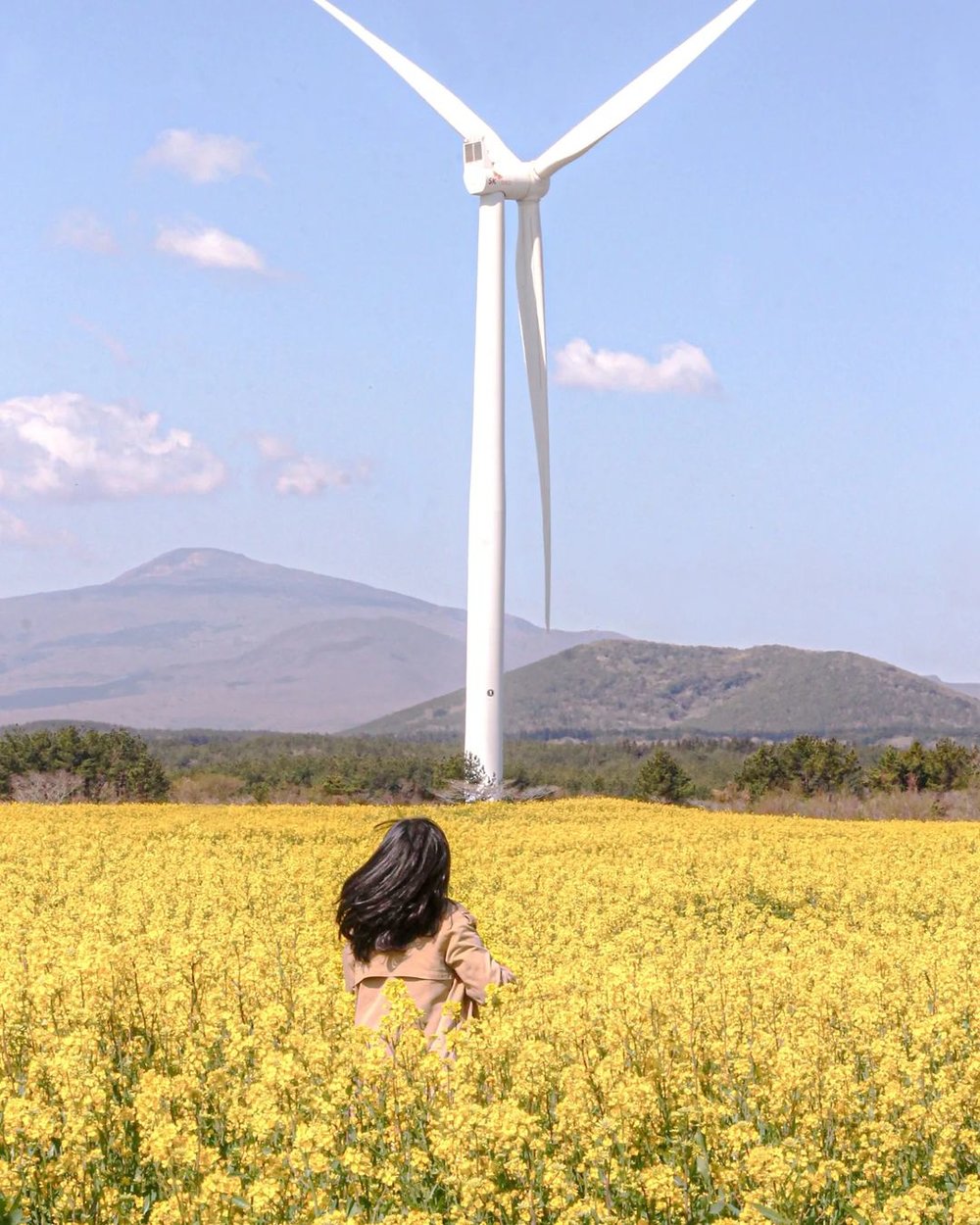 Gasiri Wind Power Plant Jeju Instagram worthy location