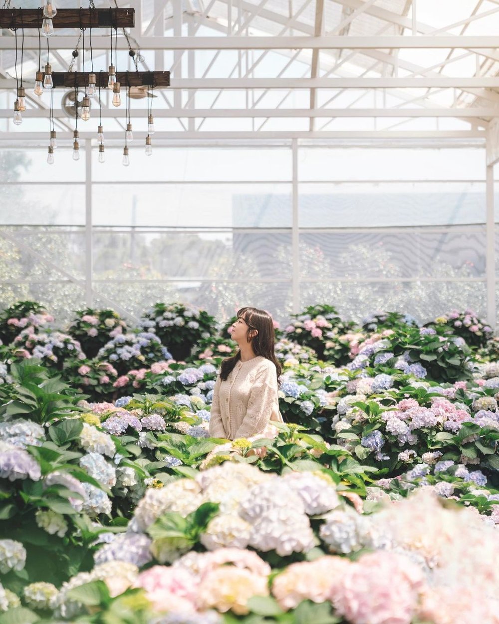 Hueree Natural Park aesthetic spot in Jeju