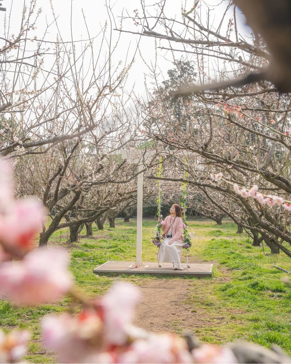 Hueree Park in Jeju IG worthy location