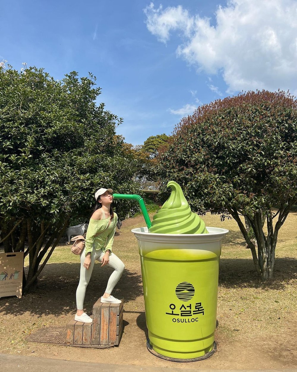 O'sulloc Tea Museum Instagrammable spot in Jeju