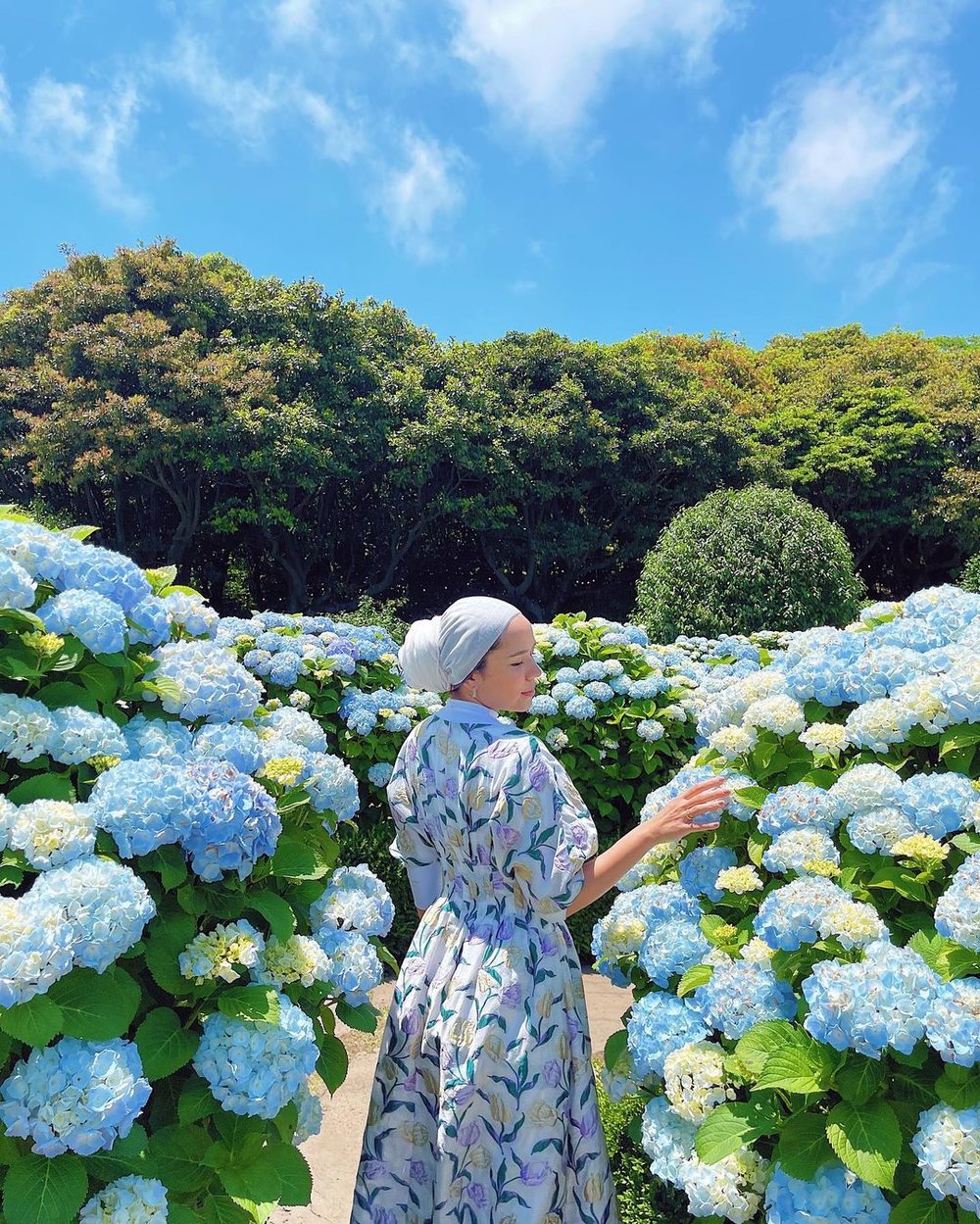 Camellia Hill Instagram worthy spot in Jeju