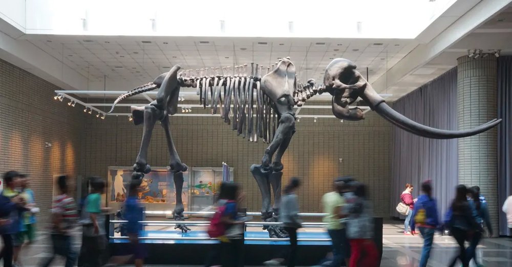 du lịch đài loan 6 ngày 5 đêm 