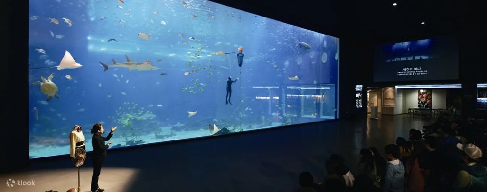 濟州島自由行景點推薦濟州 Aqua Planet 海洋世界