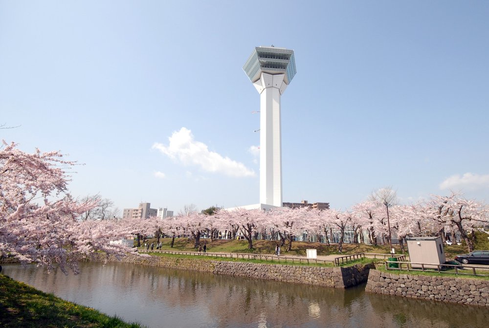 Tower surrounded by cherry blossom trees