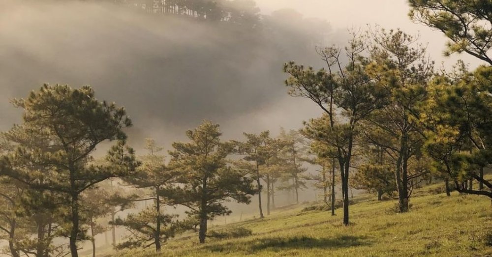 Đồi Trọc Đà Lạt