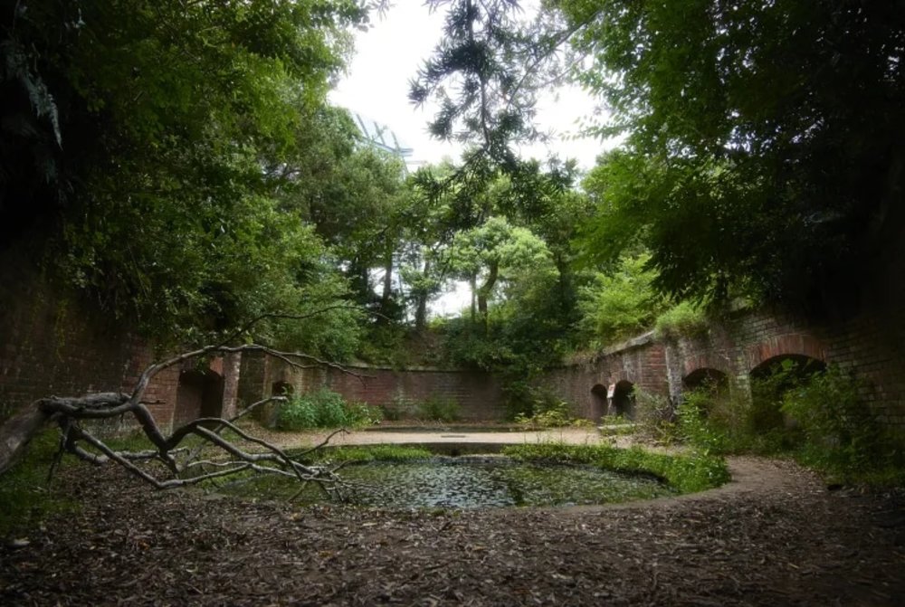 和歌山景點 友島