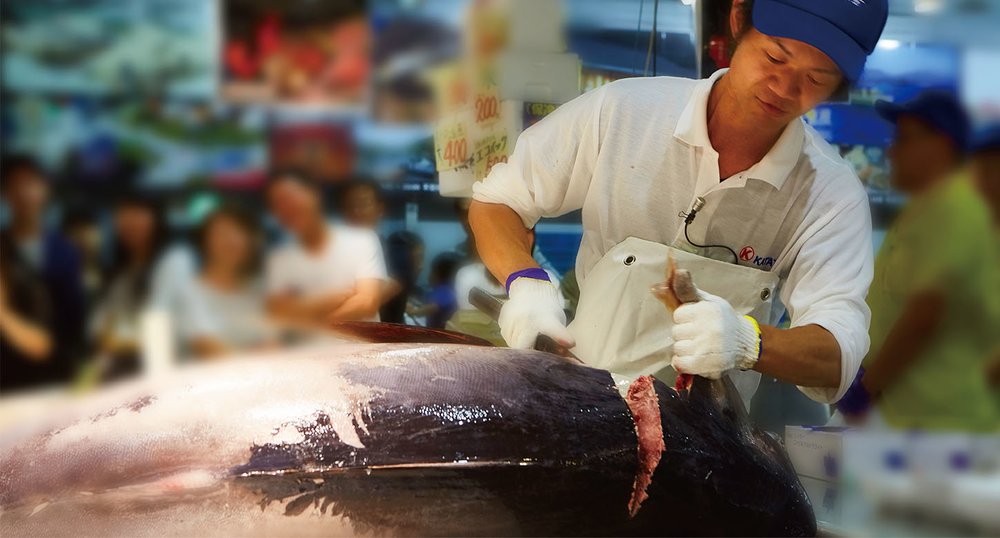 和歌山景點 白濱海鮮市場