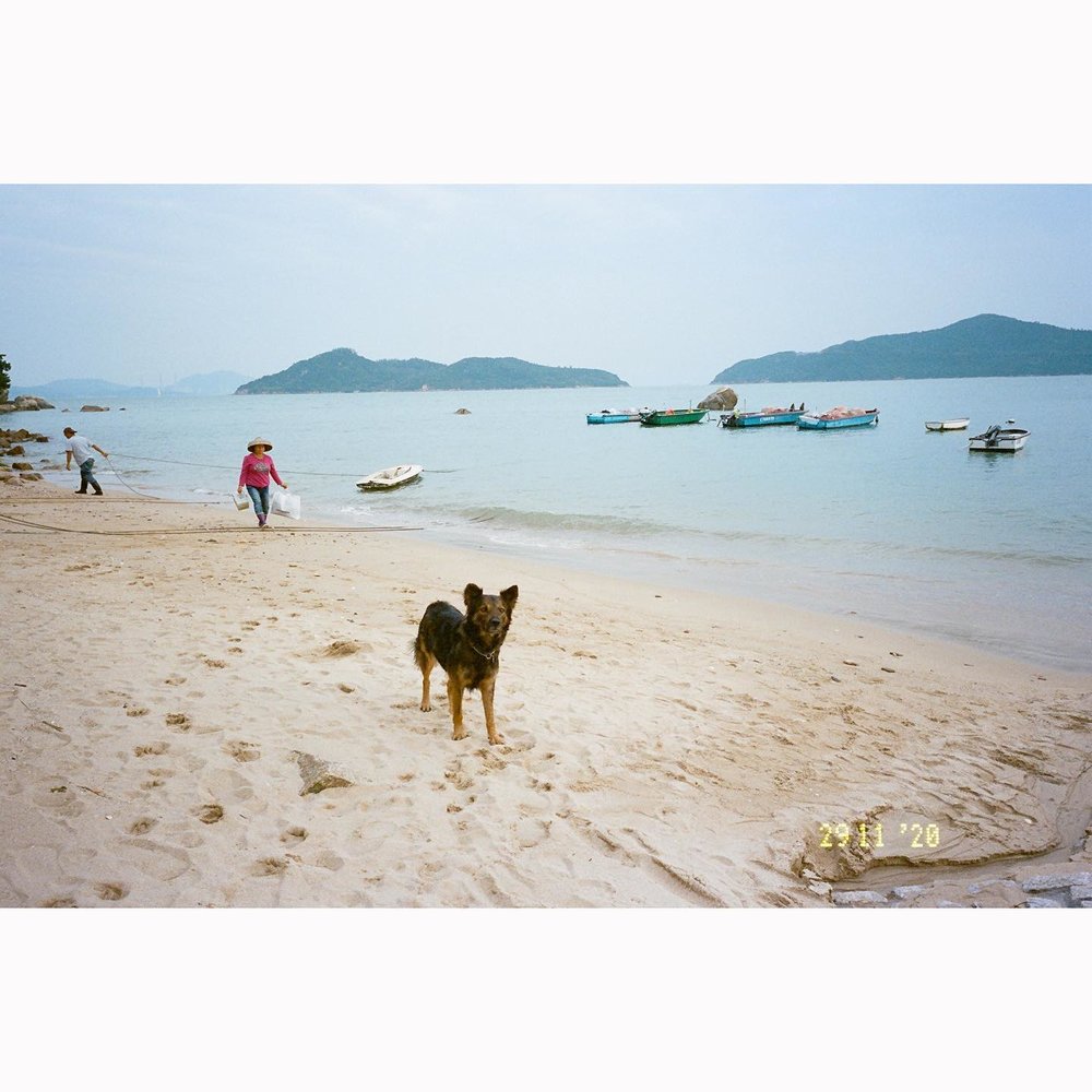 坪洲景點 東灣海灘 