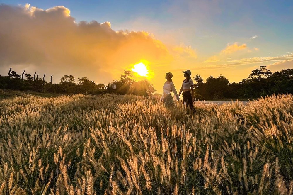 遊車河好去處 大帽山