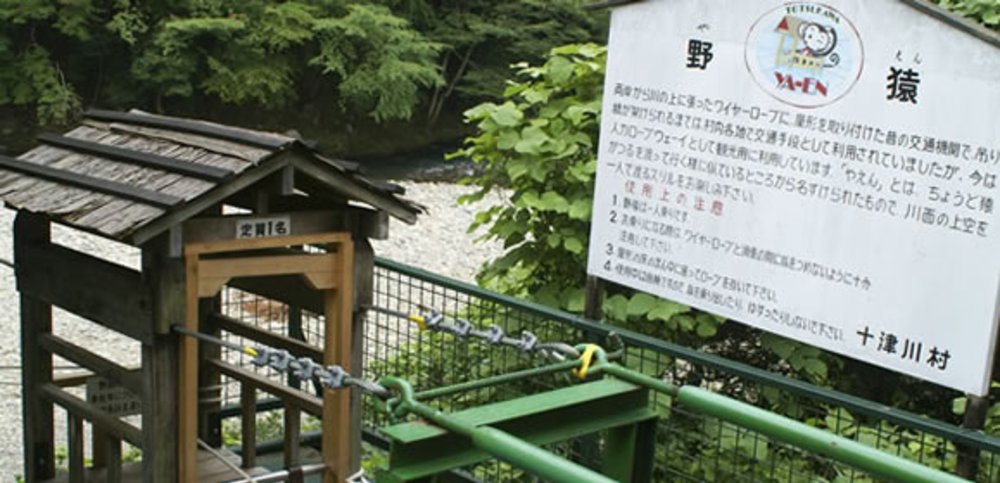 周遊關西 奈良 野猿