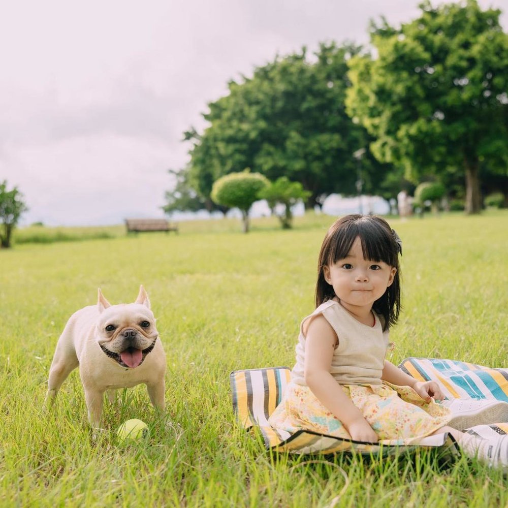遊車河好去處 數碼港