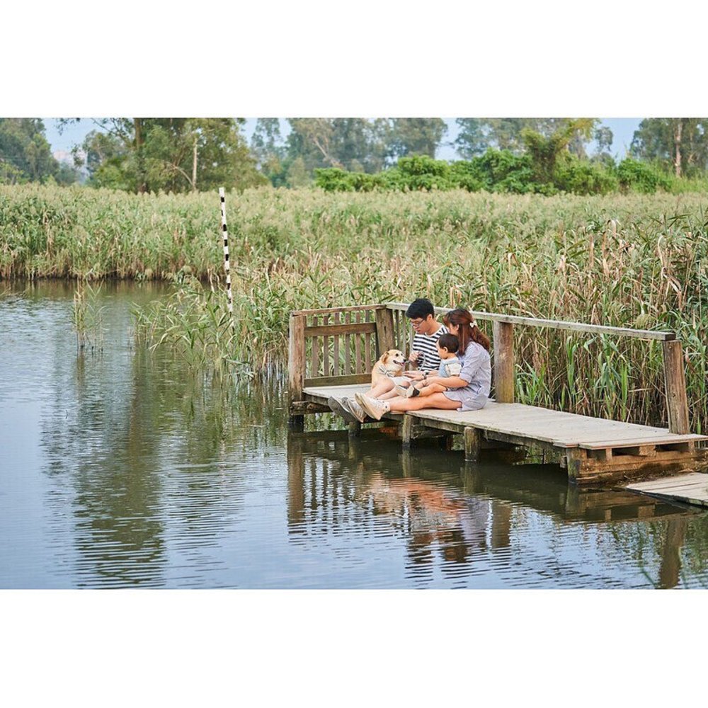 遊車河好去處 南生圍