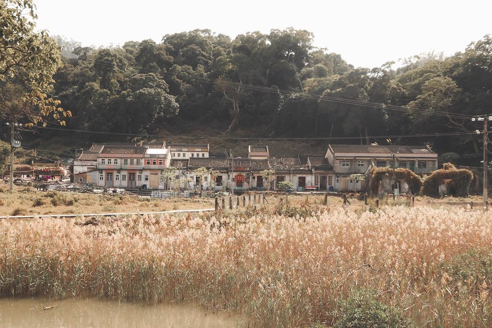 遊車河好去處 鹿頸