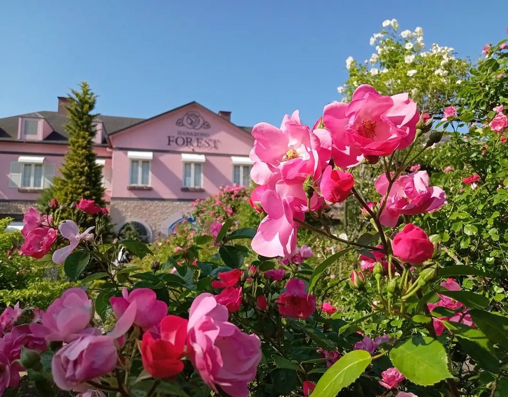 花園フォレスト