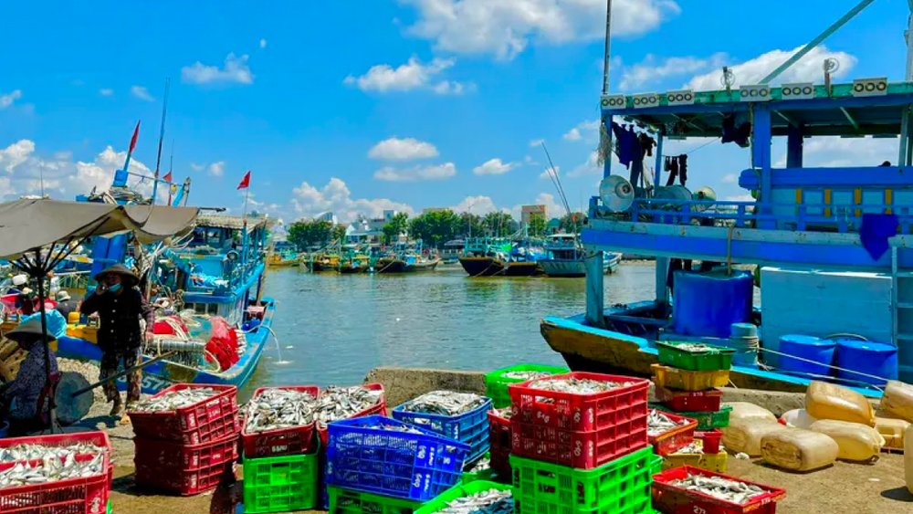 tour-du-lich-1-ngay-tphcm