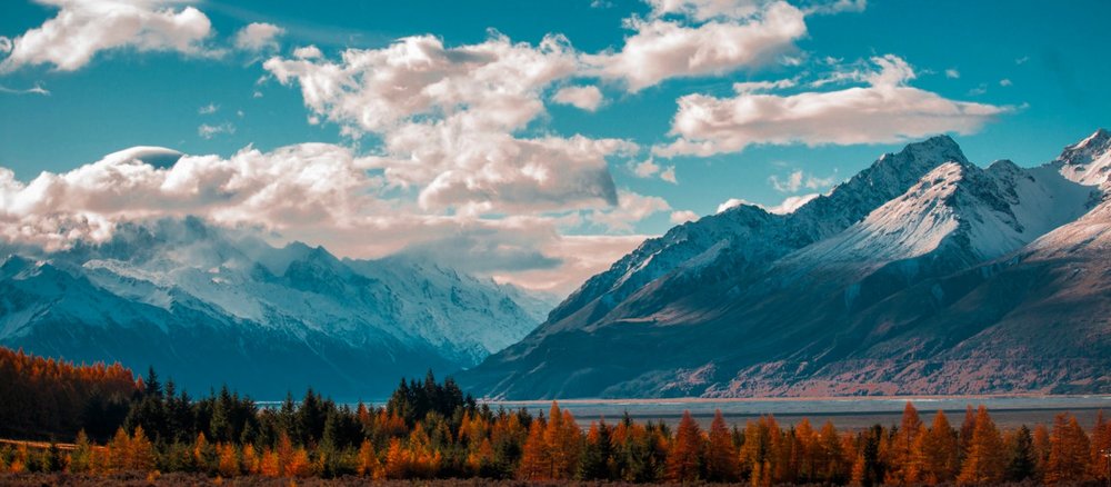 autumn in new zealand