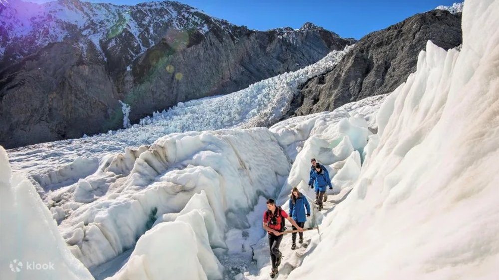 winter in new zealand activities