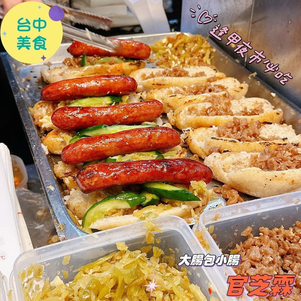 官芝霖大腸包小腸