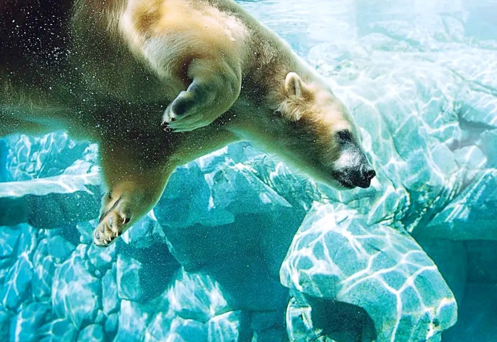 theme parks in australia