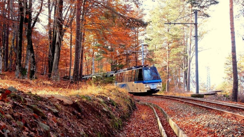 Catch this beautiful scenery outside your cable car in the Centovalli Express. Credits to @stresaflat