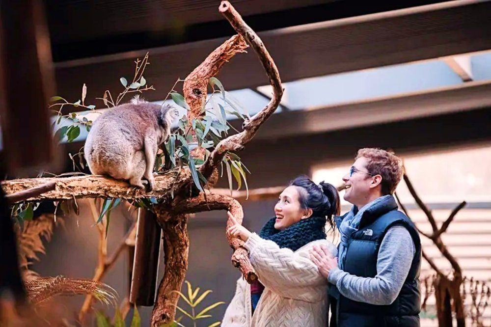 theme parks in australia