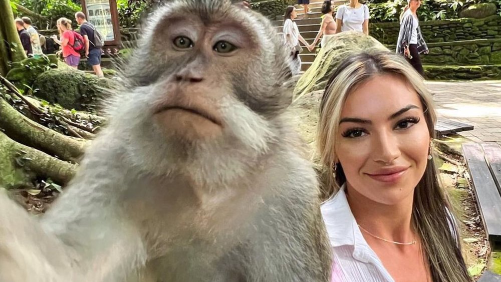  Long-tailed macaques are quite common in Bali. Credits to @sara9five