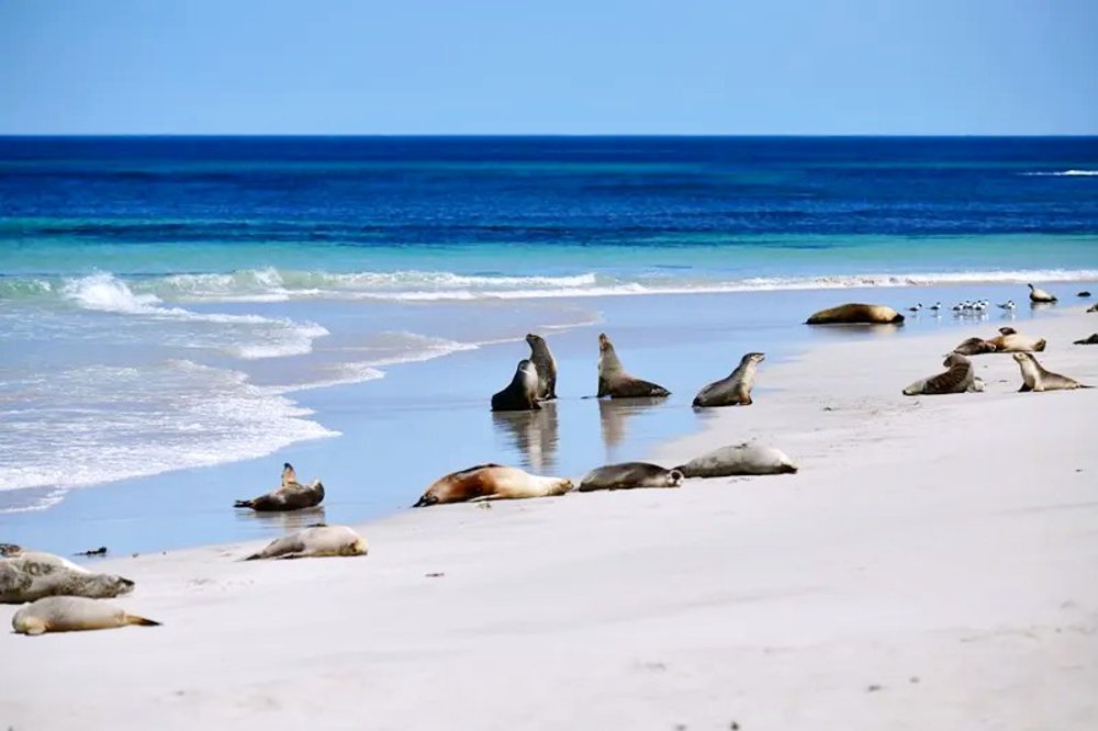 outdoor things to do in australia