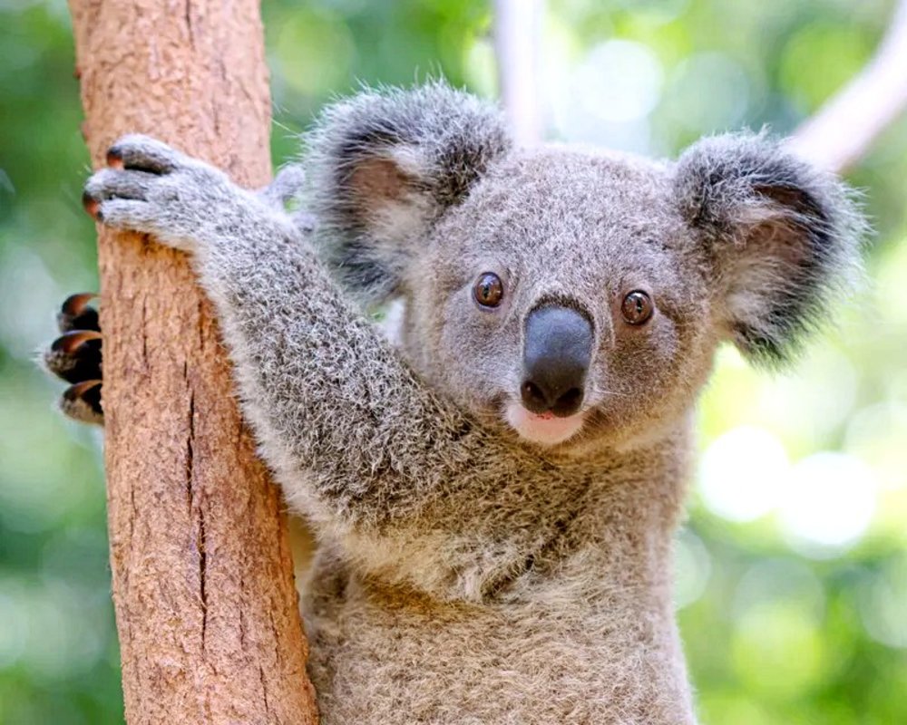 outdoor things to do in australia