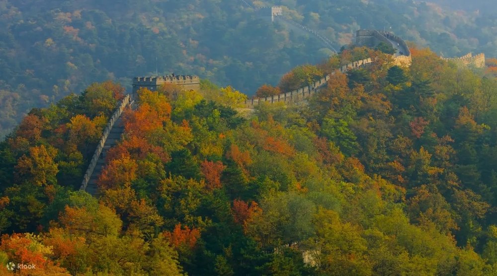 中国旅行のツアー