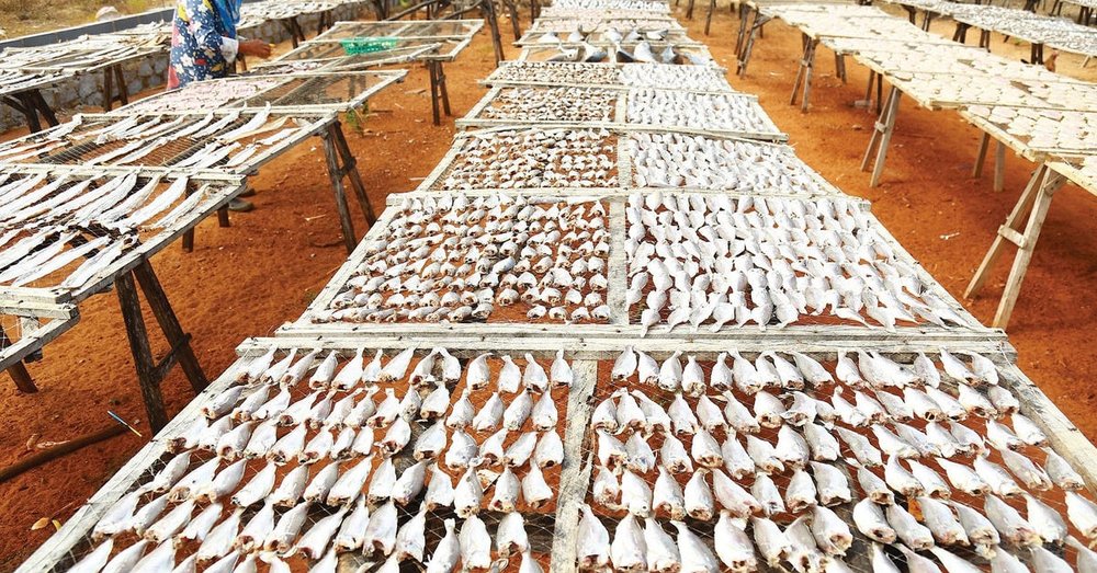 Các Loại Khô Đặc Sản Ninh Bình