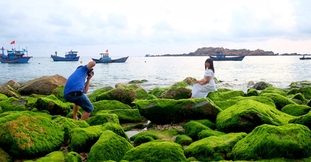 Bãi Đá Rêu Xanh Nhơn Hải